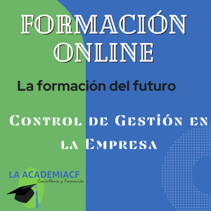 Control de Gestión en la Empresa