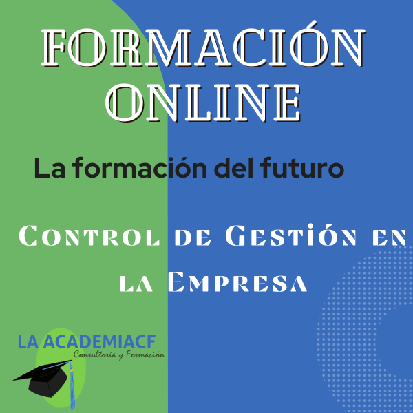 Control de Gestión en la Empresa